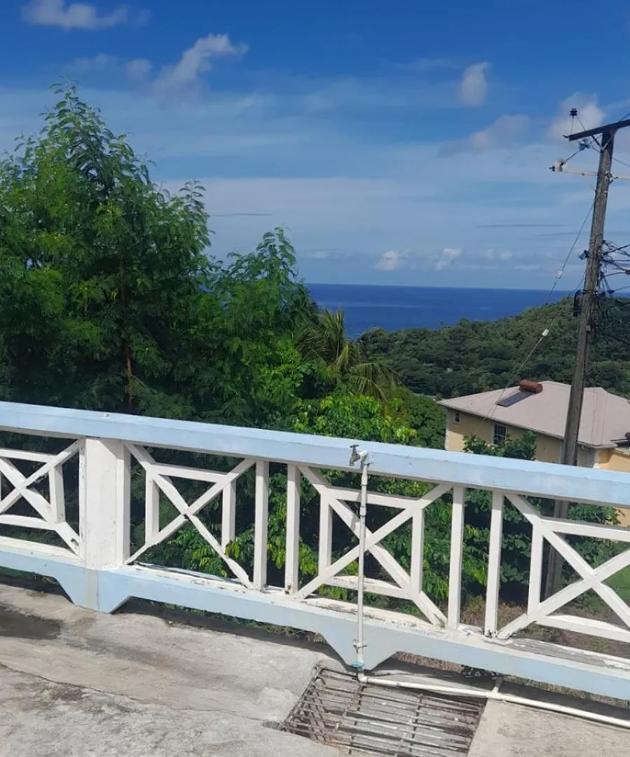 Millennium View Villa - Castries Daire
